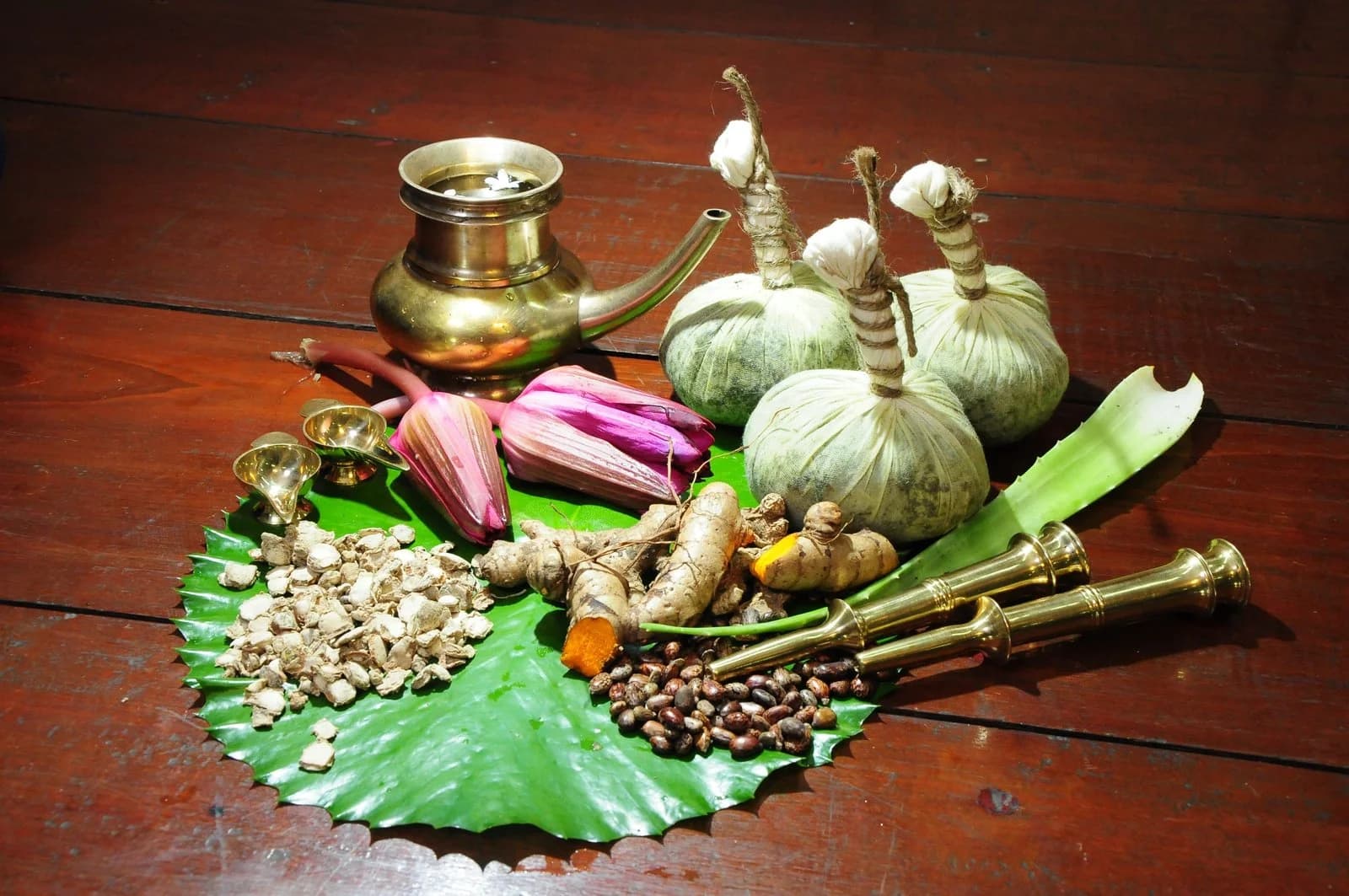 Ayurveda treatment at Swasi Healthcare