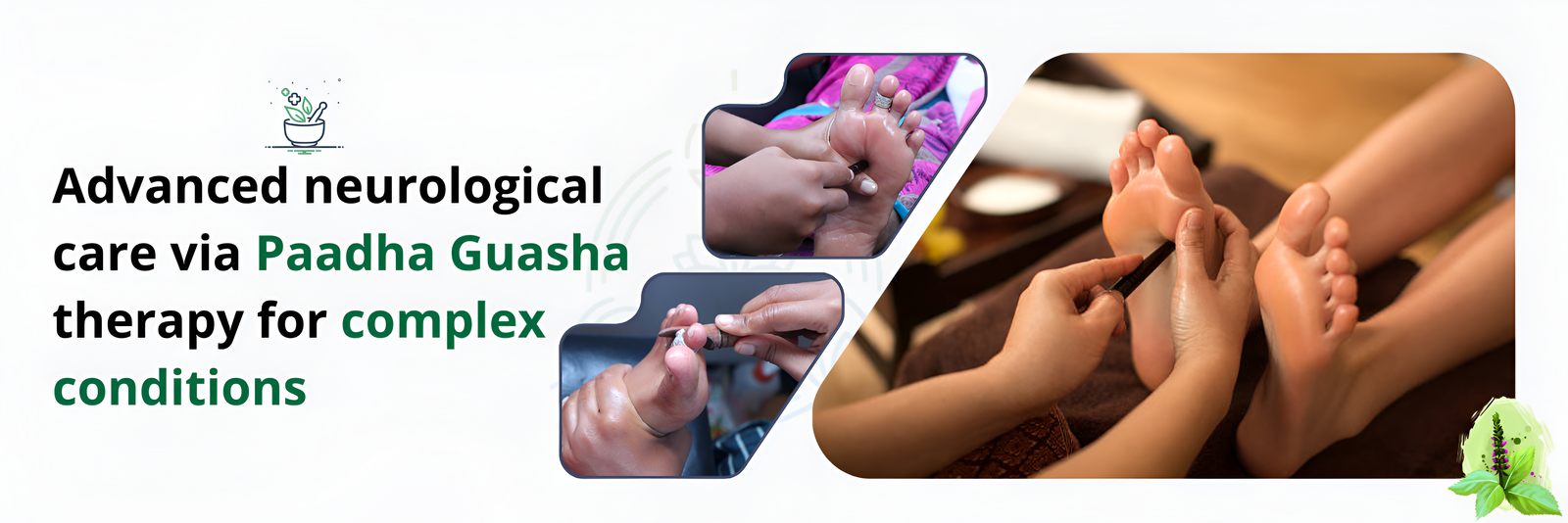swasi web banner (2) (1)