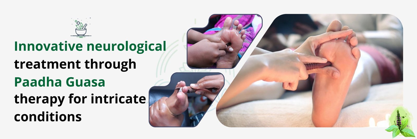 paadha guasa banner