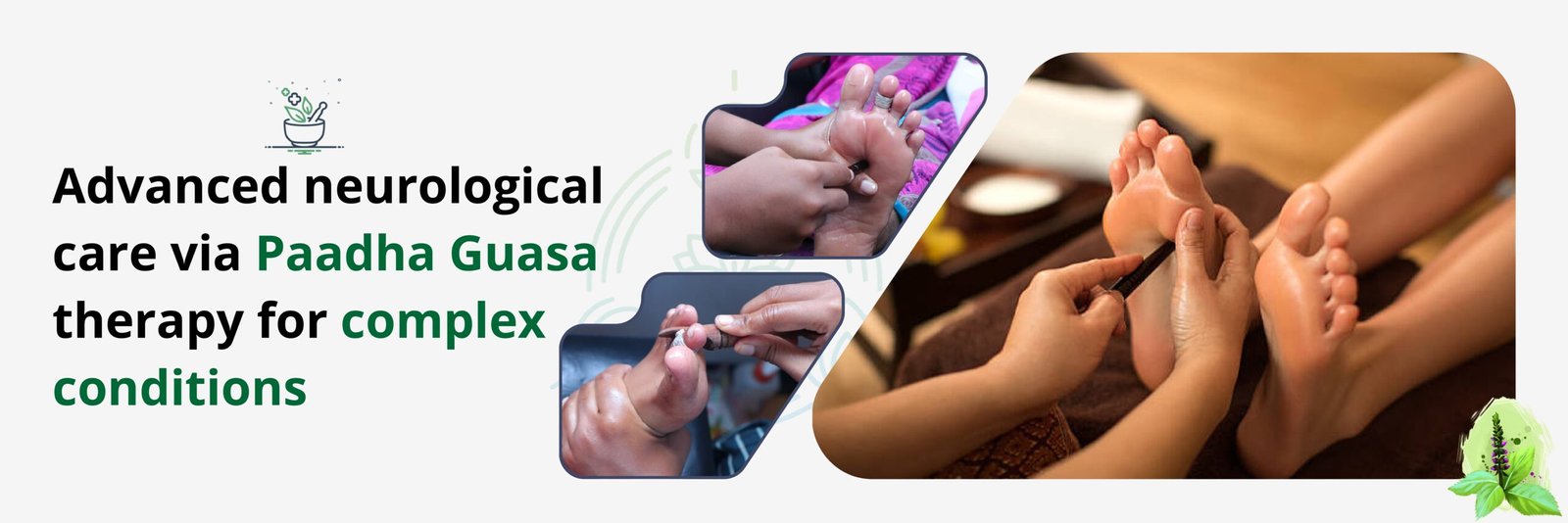 paadha guasa banner.jpg_2